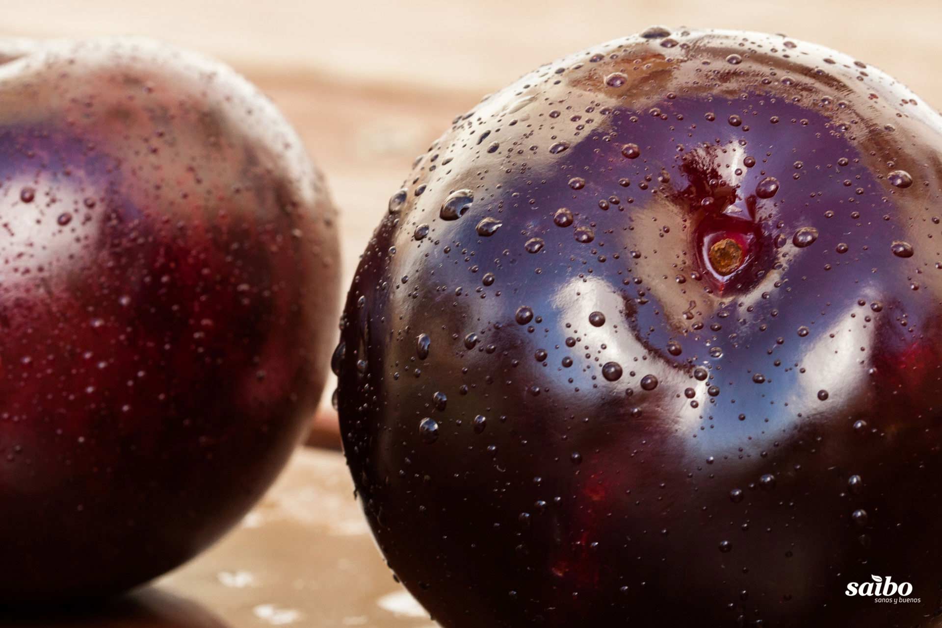 Fotografía de fondo 03. Descargas de Saibo