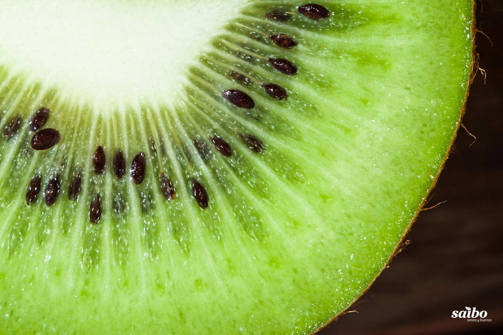 Fotografía de fondo 07. Descargas de Saibo