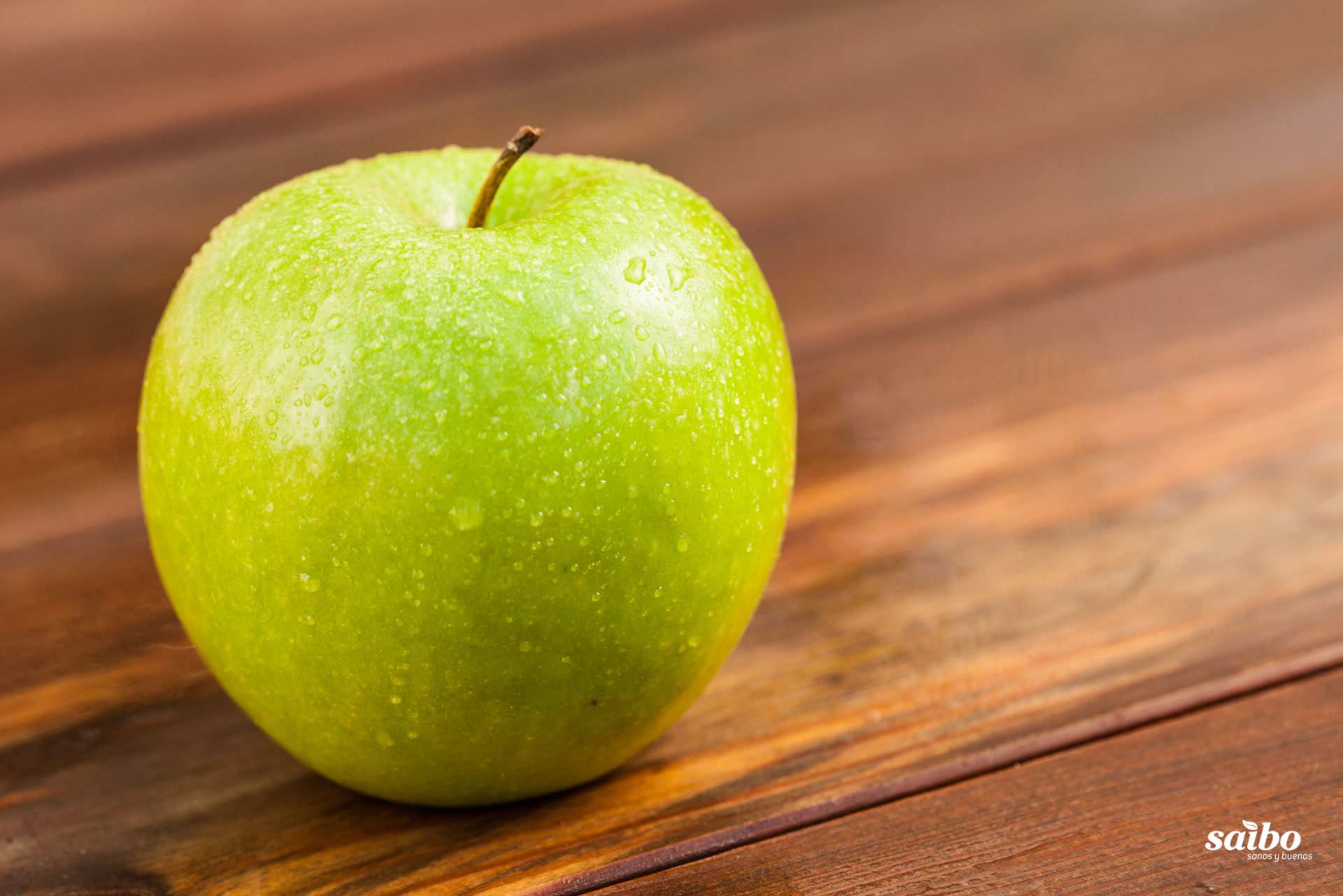 Fotografía de fondo 10. Descargas de Saibo