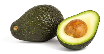 Aguacate. Hisoria de Saibo