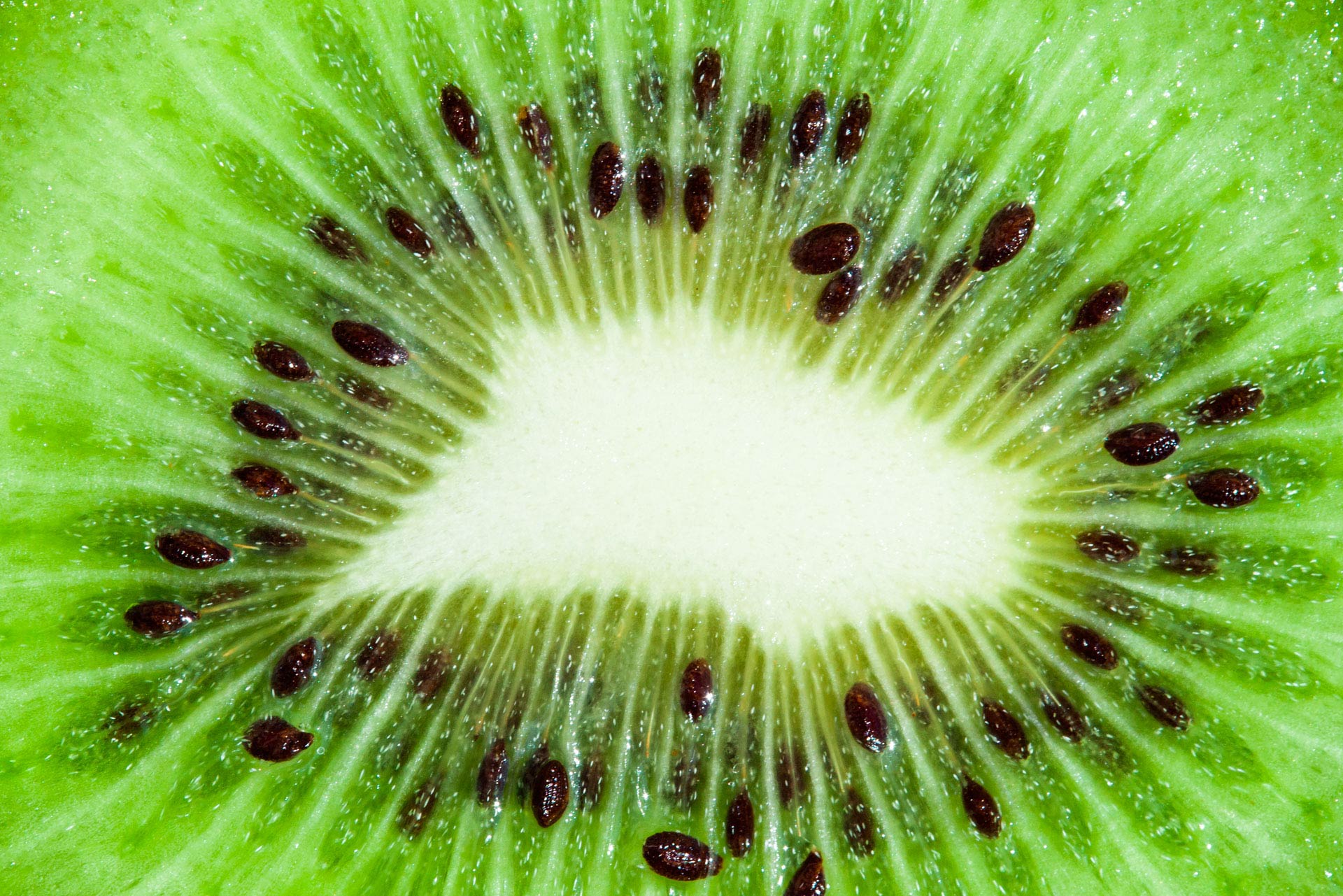 Fotografía de fondo 01. Hisoria de Saibo