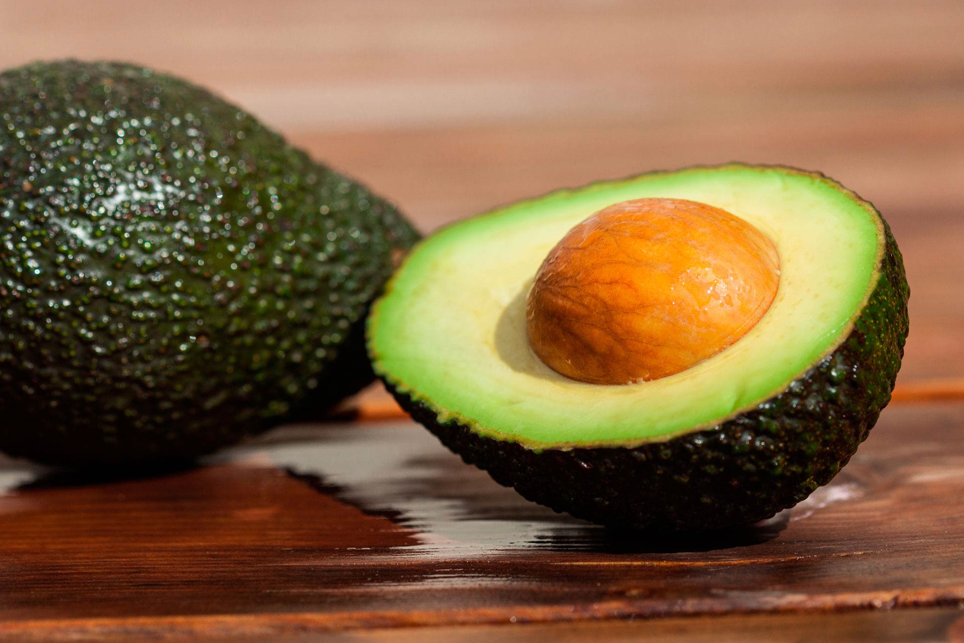 Fotografía de fondo 03. Hisoria de Saibo