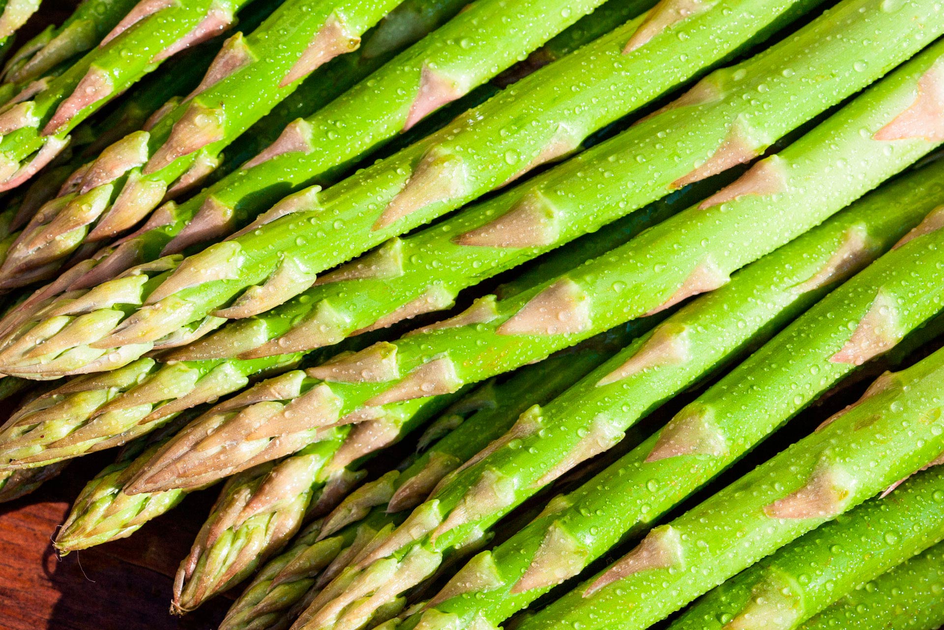 Fotografía de fondo 05. Hisoria de Saibo