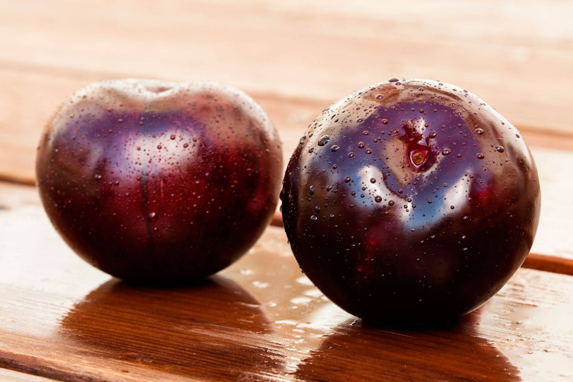 Fotografía de fondo 07. Hisoria de Saibo